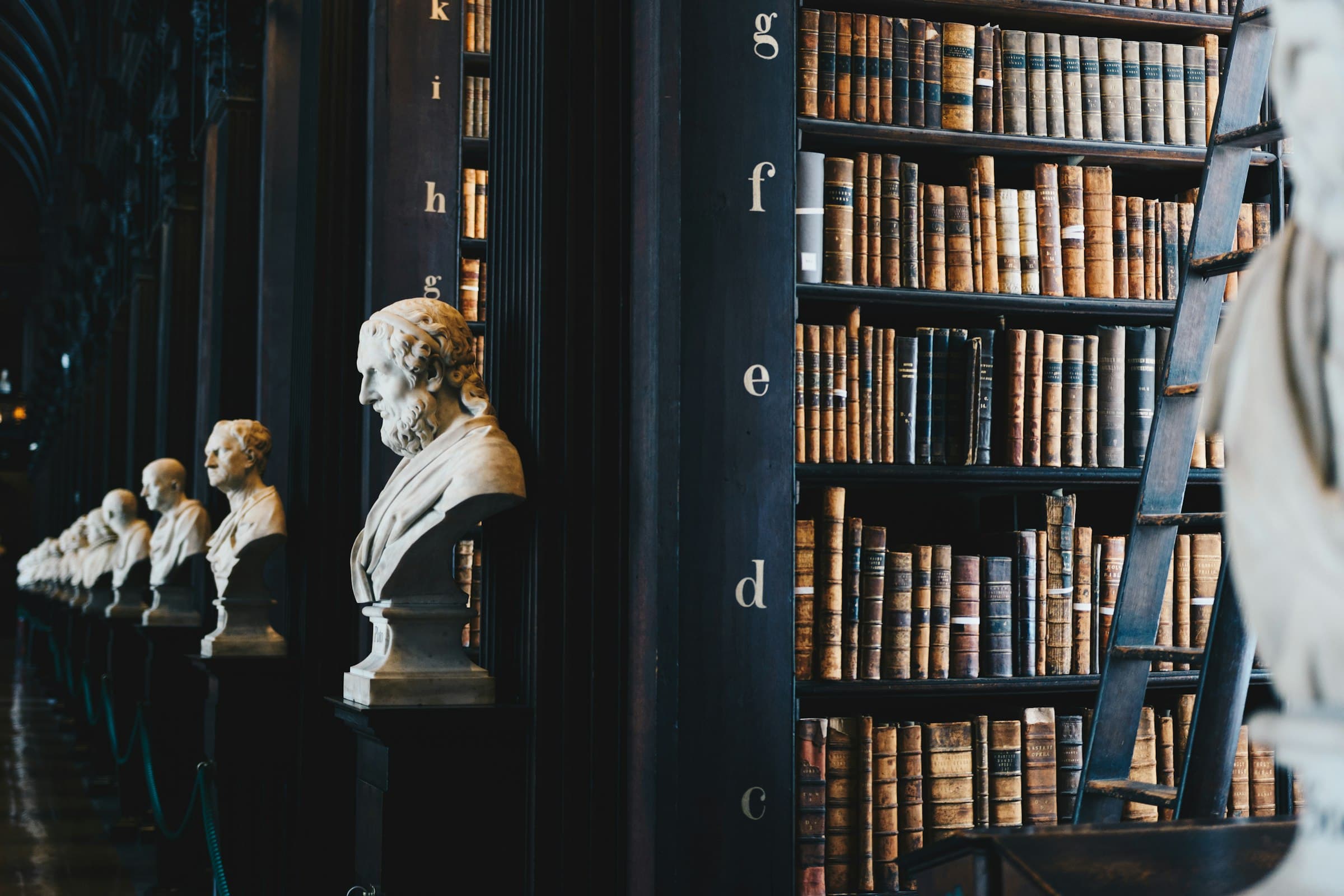 Historische bibliotheek met boeken en marmeren bustes